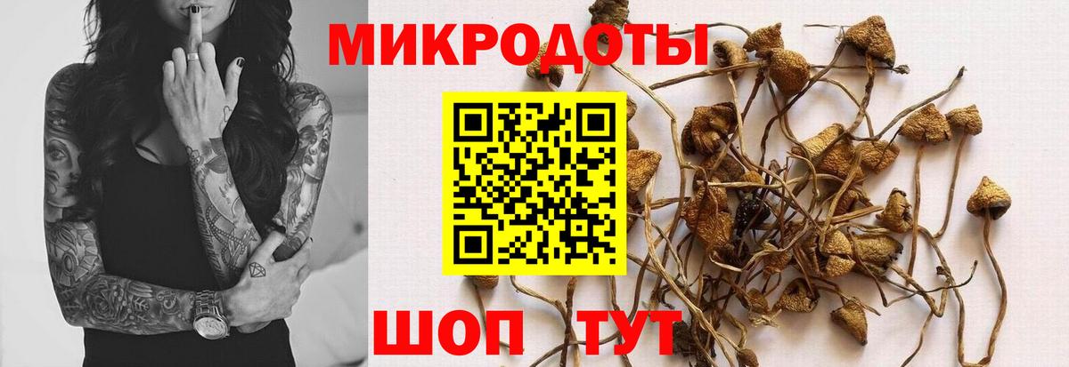 Галлюциногенные грибы мицелий  Вход с VPN  Галлюциногенные грибы MAGIC MUSHROOMS  Тайшет 
